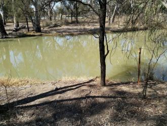 Site