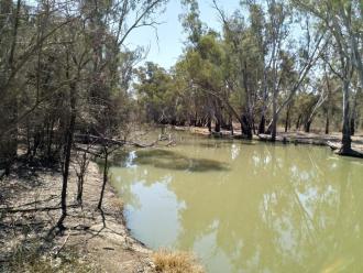 Down stream