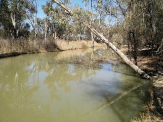 Up Stream