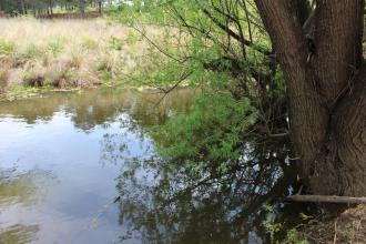 Upstream
