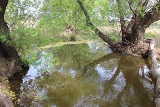 Down stream