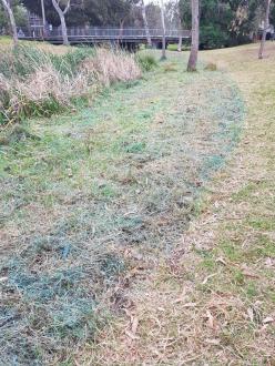 record of spraying on banks