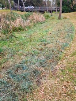record of spraying on banks