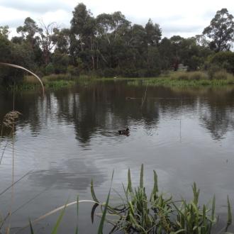 The lake