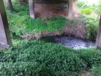 View across creek under bridge looking east