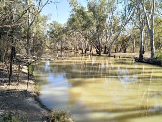 Downstream