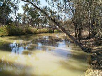 Upstream