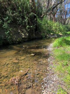 downstream view