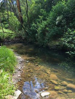 Upstream view