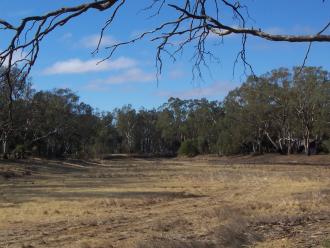 as dry as it got in the millenium drought