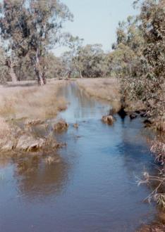 creek flow in  winter 1995 looking upstream from the highway