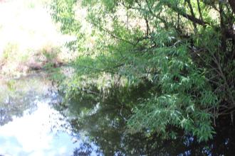 Upstream