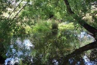 Down stream