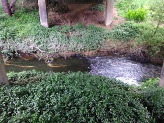 View eastwards under bridge