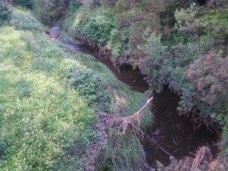 View on bridge looking north