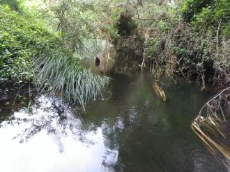 View under bridge looking north