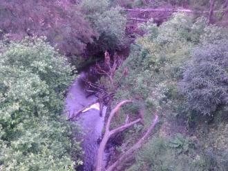 View from bridge looking south