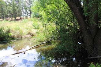 Up stream