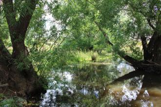 Down stream