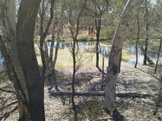 Site