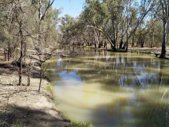 Down stream