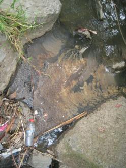 showing scummy surface between the rocks