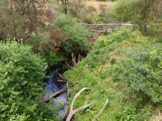 Looking south from bridge