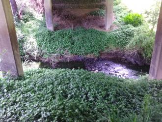 Looking east under bridge