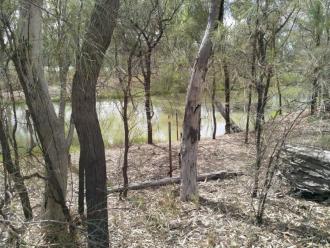 Site