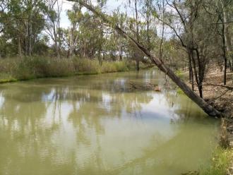 Up stream