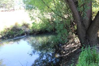 Upstream
