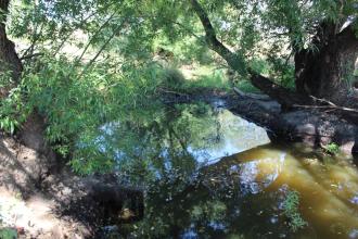 Down stream