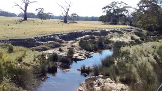 Looking Downstream Jan2019