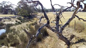 Looking Downstream Jan2019