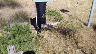 Weeds near Monitoring Station Jan2019