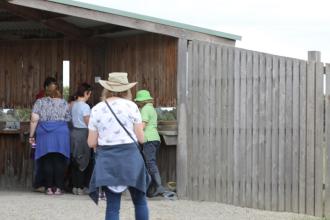 Nature walk and WaterWatch followed by barbeque for members of the public