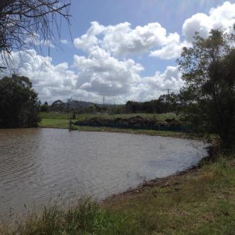 Lake near the bird hide after dredging