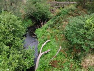 Looking south from bridge