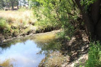 Upstream