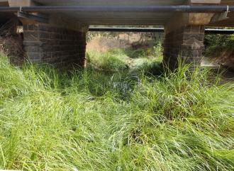 Downstream of Pilloud bridge and sample site