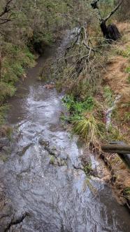 View upstream of Stones Crossing Bridge