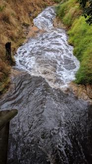 View downstream of stones Crossing bridge