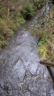 View upstream of stones Crossing bridge