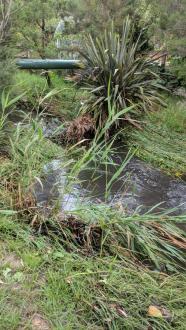 Looking upstream of site