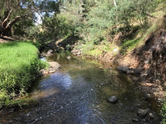 Creek low but flowing, very clear.