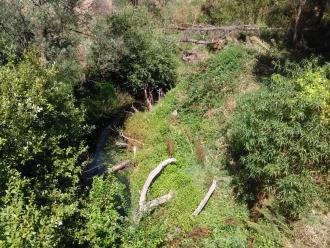 Looking south from bridge