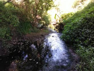 Looking south under bridge