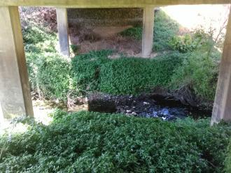 Looking east across creek under bridge