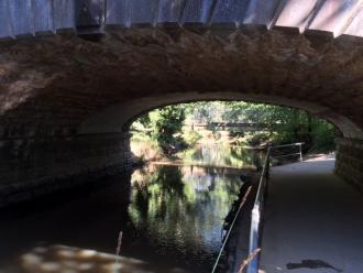 5 Mile Creek @ Childrens' Park Downstream