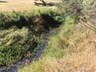 5 Mile Creek @ Reserve Downstream